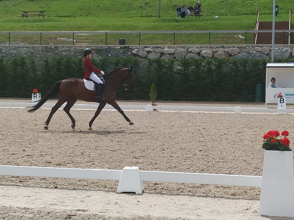 Buen tono de nuestros jinetes y amazonas en Cantabria